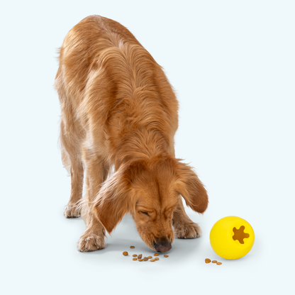 Rumbl Puzzle Treat Toy for Dogs