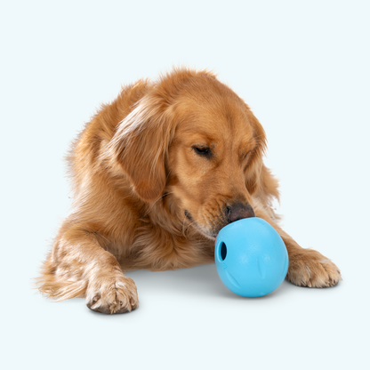 Rumbl Puzzle Treat Toy for Dogs