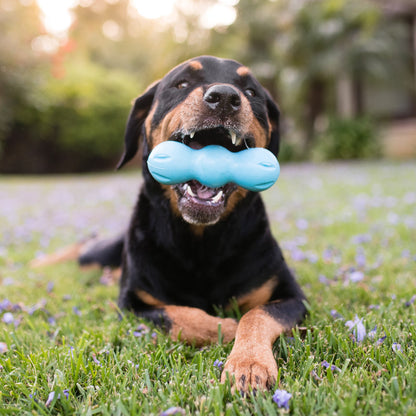 Rumpus Dog Chew Toy
