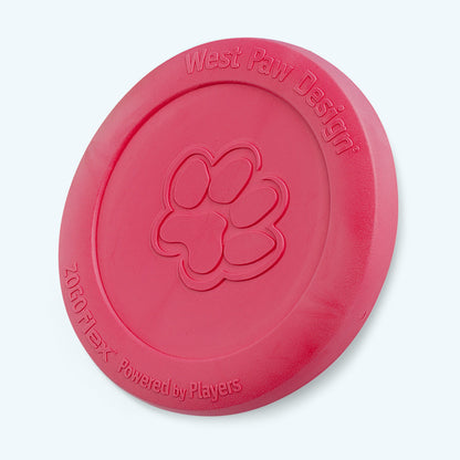Zisc Dog Disc Toy