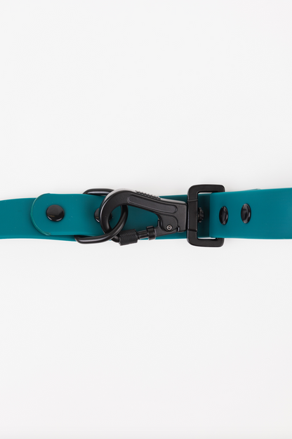 Forest Green Adjustable Dog Leash