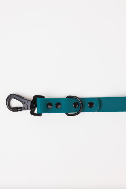 Forest Green Adjustable Dog Leash