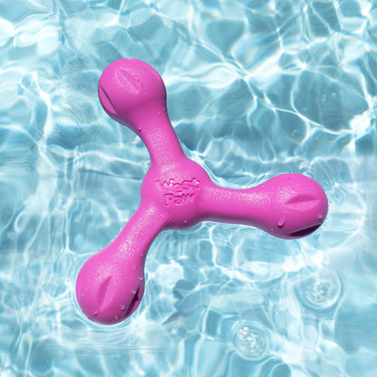 Skamp Dog Fetch and Tug Toy