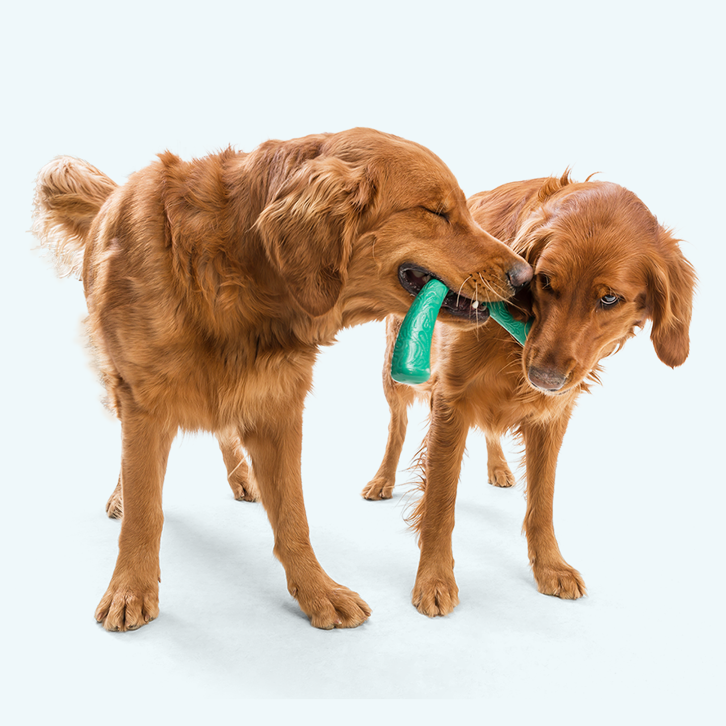 Snorkl Dog Tug and Chew Toy