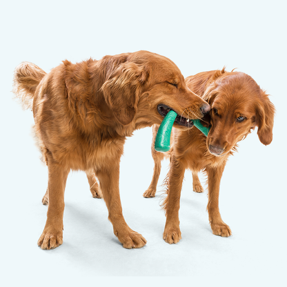 Snorkl Dog Tug and Chew Toy