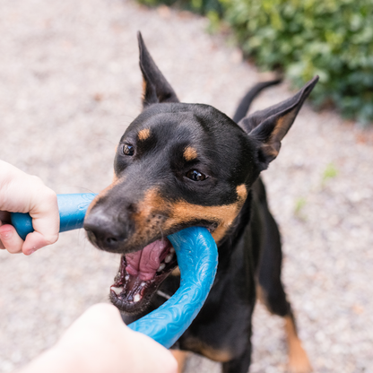Snorkl Dog Tug and Chew Toy
