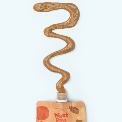Nut Butter, Sweet Potato, and Chia Seed Creamy Dog Treat