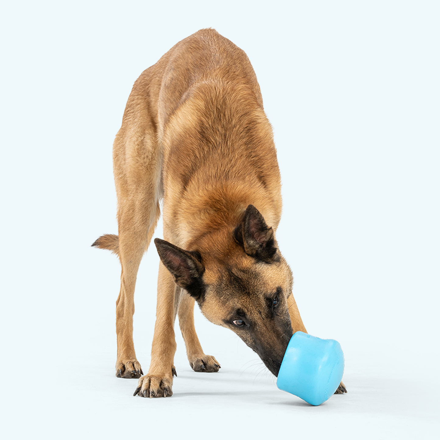 Toppl Puzzle Treat Toy