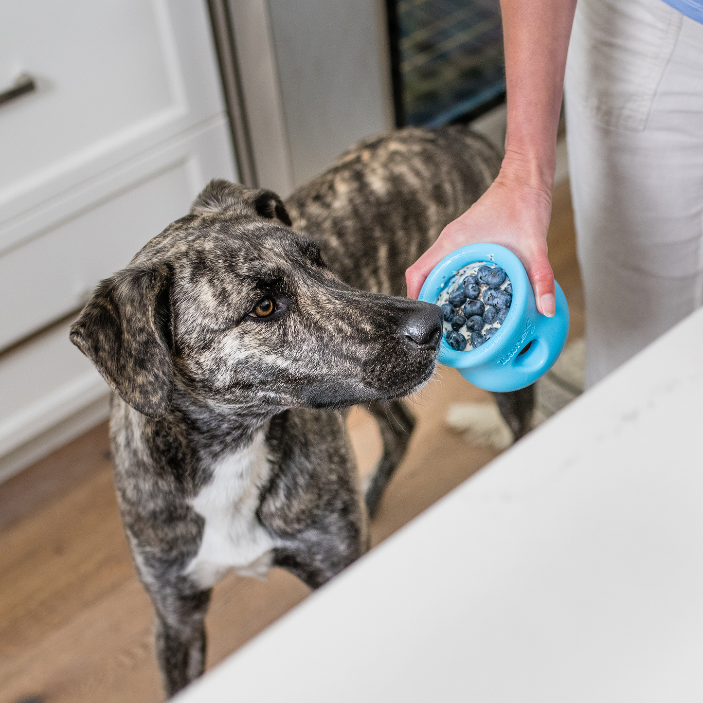 Toppl Puzzle Treat Toy
