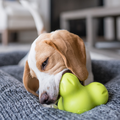 Tux Treat Toy for Dogs
