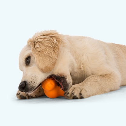 Tux Treat Toy for Dogs