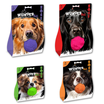 WUNDERball Best Fetch Toy