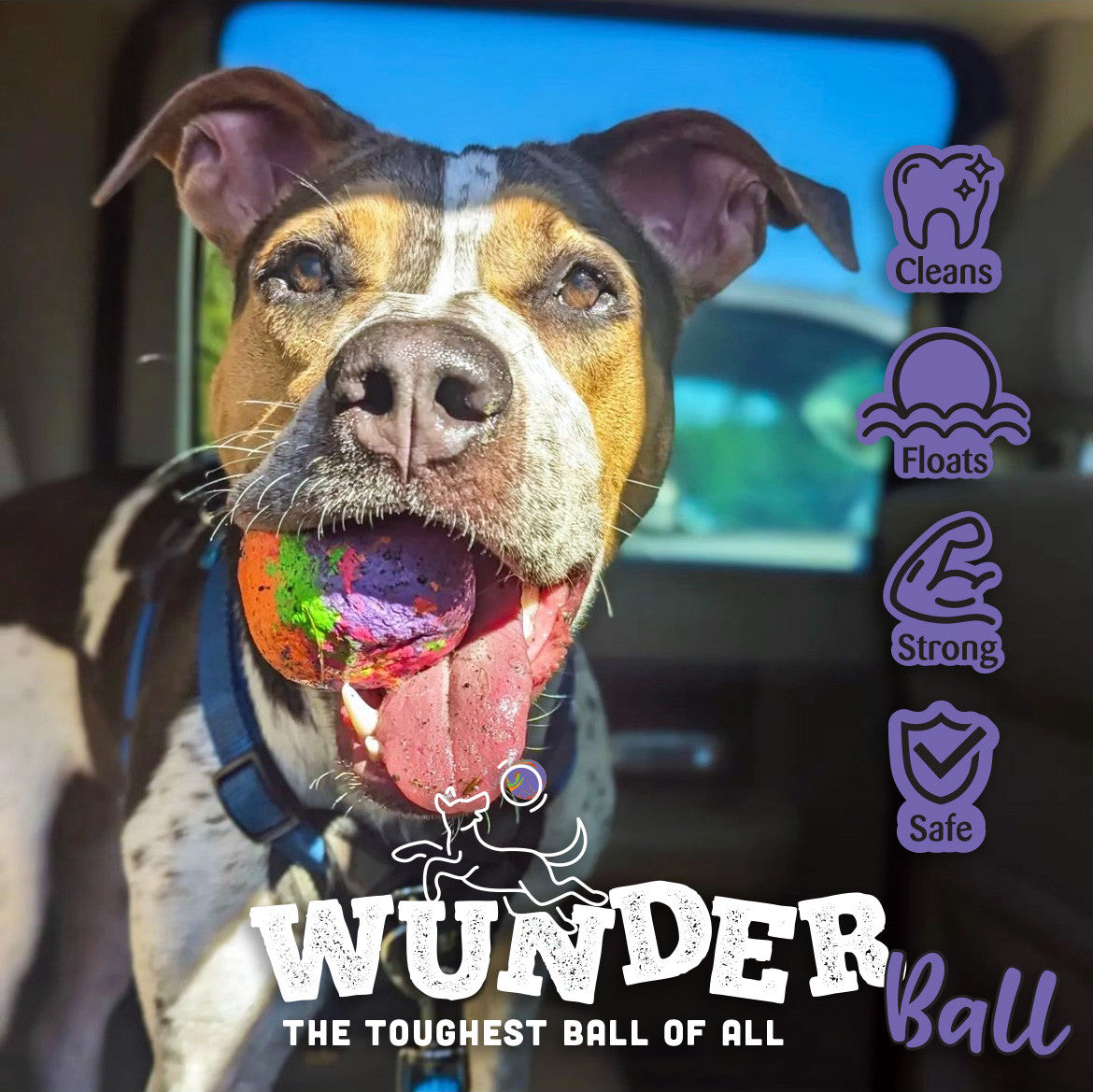 WUNDERball Best Fetch Toy