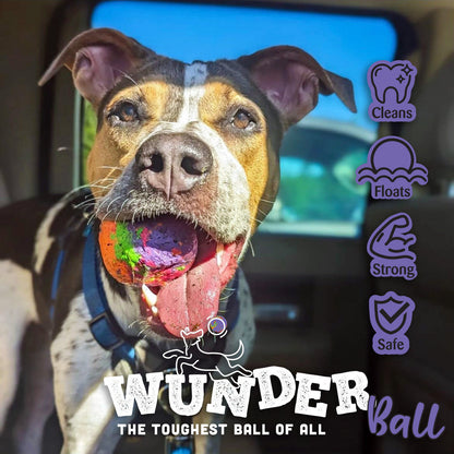 WUNDERball Best Fetch Toy