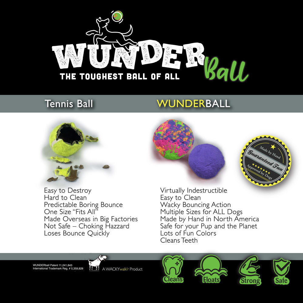 WUNDERball Best Fetch Toy