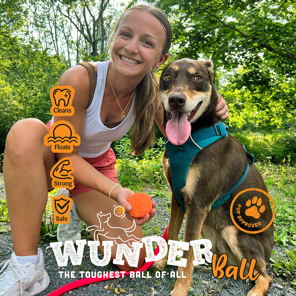 WUNDERball Best Fetch Toy