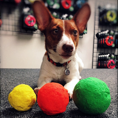 WUNDERball Best Fetch Toy