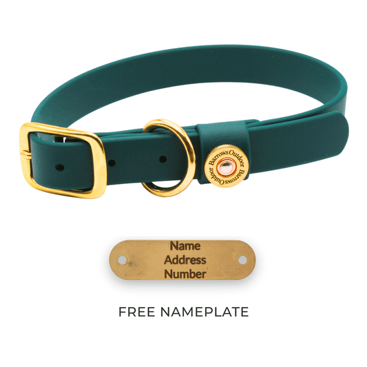 Barrows Dog Collar Green