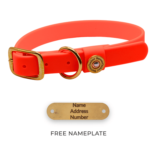 Barrows Dog Collar Orange