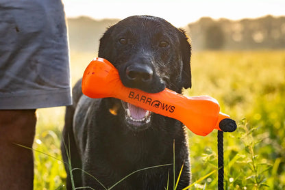 Barrows Training Bumper Pack Orange