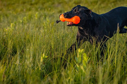 Barrows Training Bumper Pack Orange