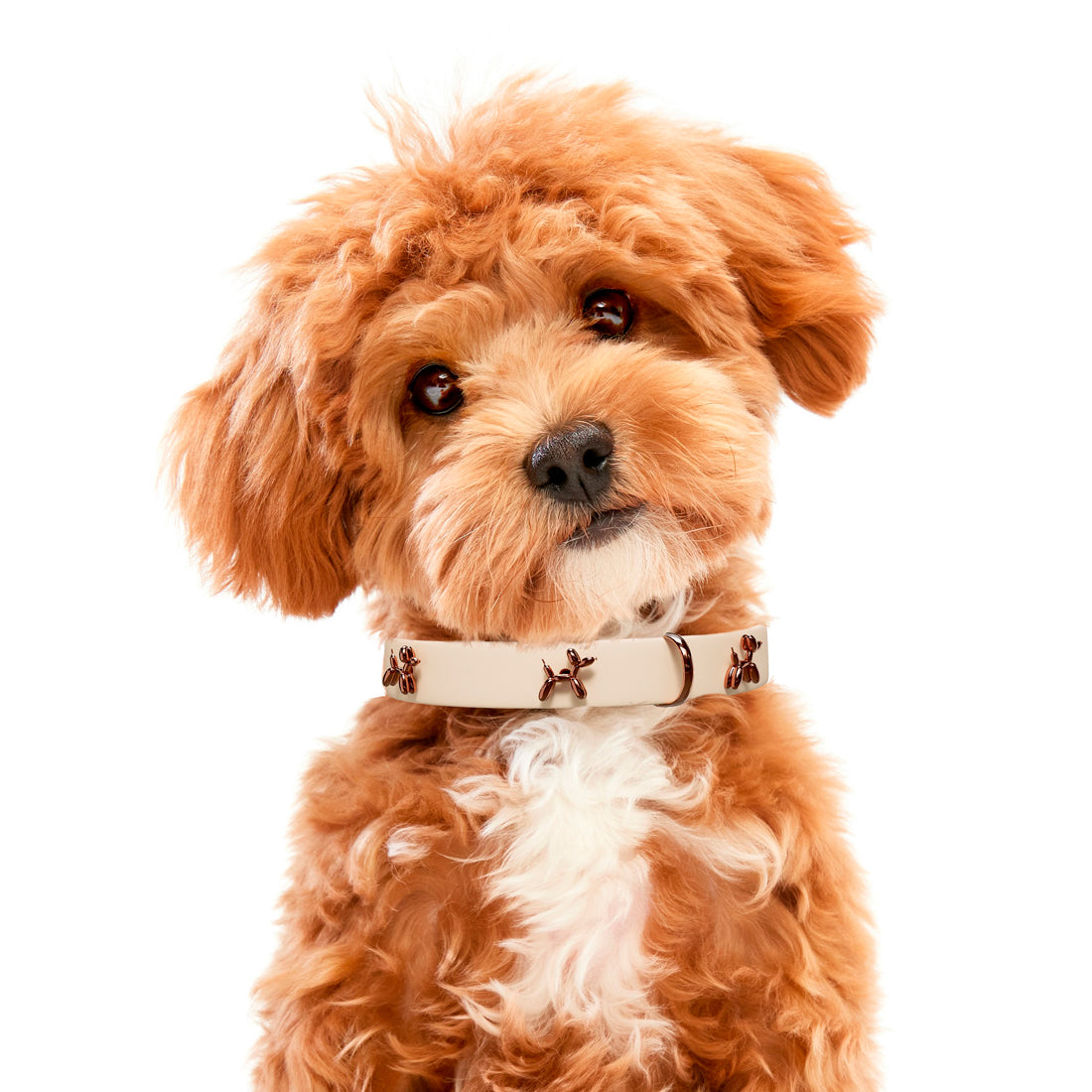 Balloon Beige Dog Collar