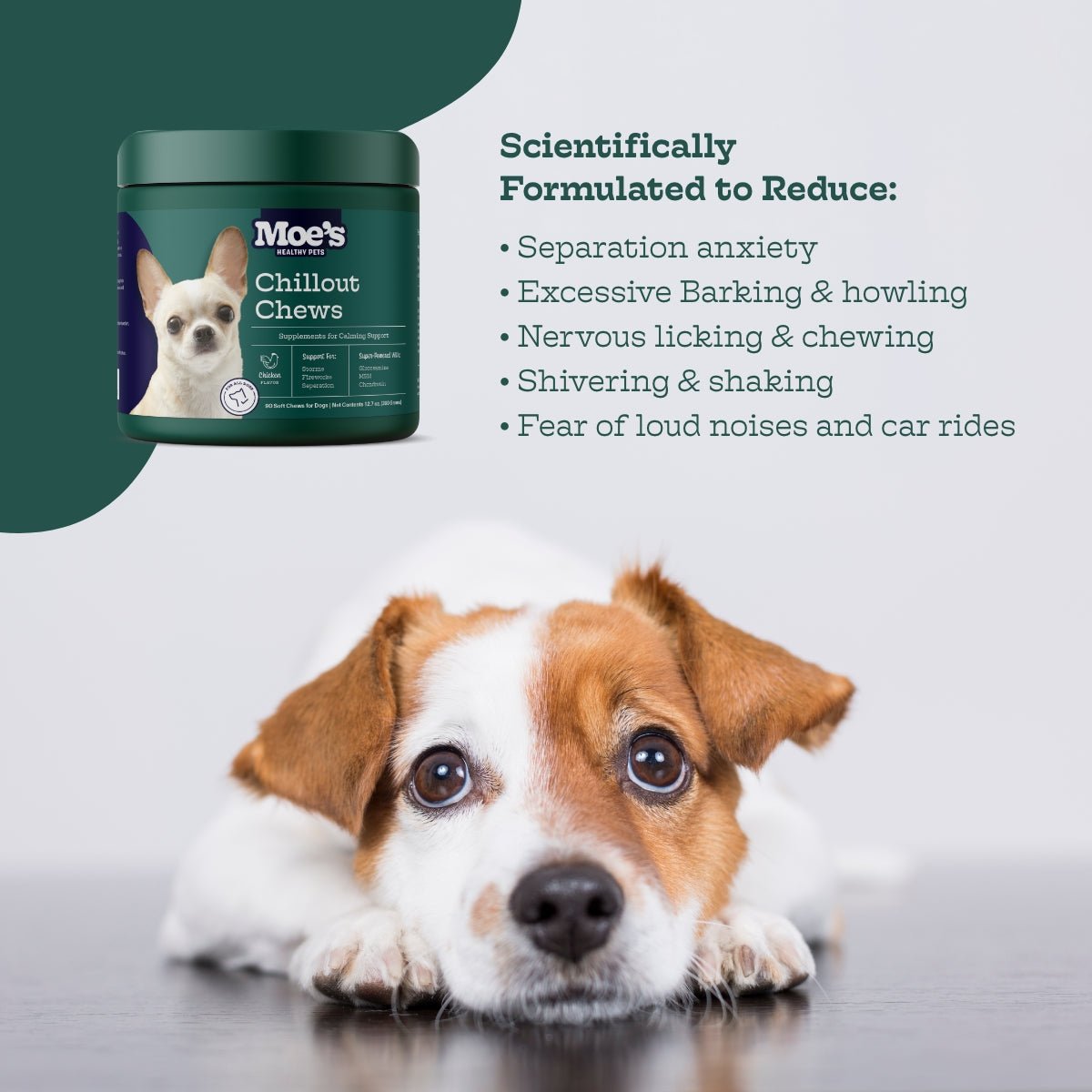 Chillout Chews Calming Supplement for Dogs