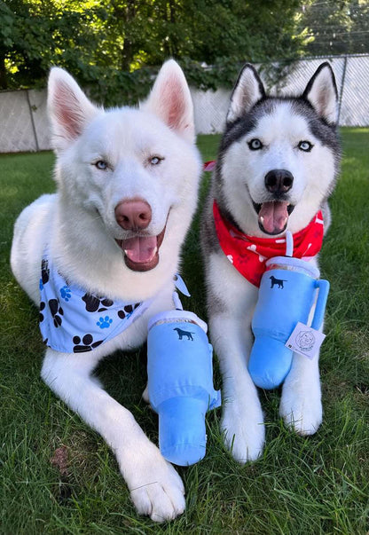 Pup Cup Squeaky Plush Dog Toy