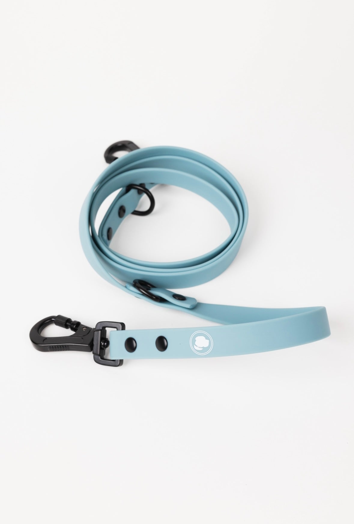 Dusty Blue All-Weather Dog Leash