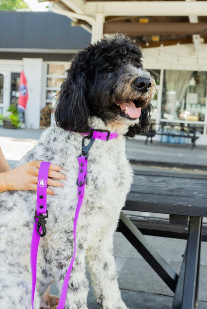 Electric Fuchsia All-Weather Dog Collar