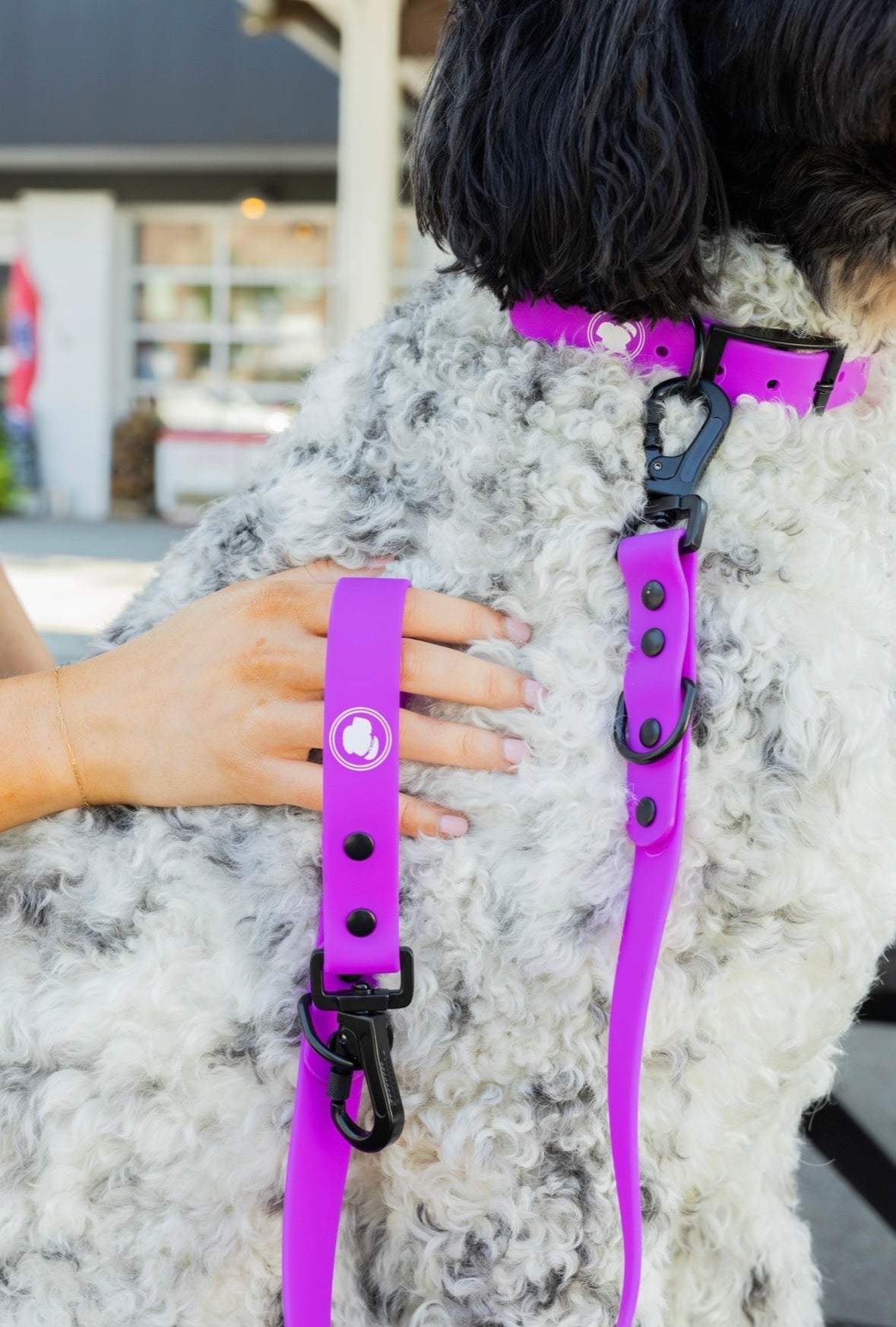 Electric Fuchsia All-Weather Dog Leash