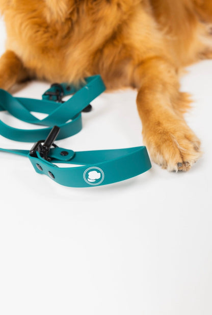 Forest Green Adjustable Dog Leash