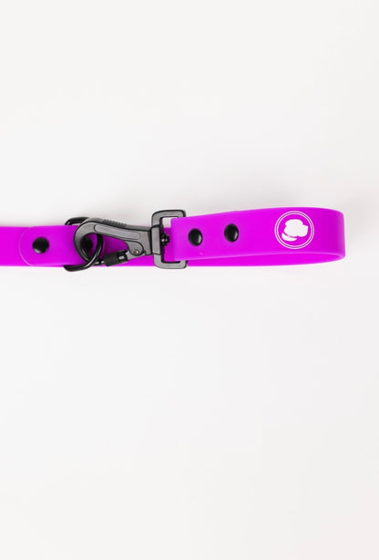 Electric Fuchsia All-Weather Dog Leash