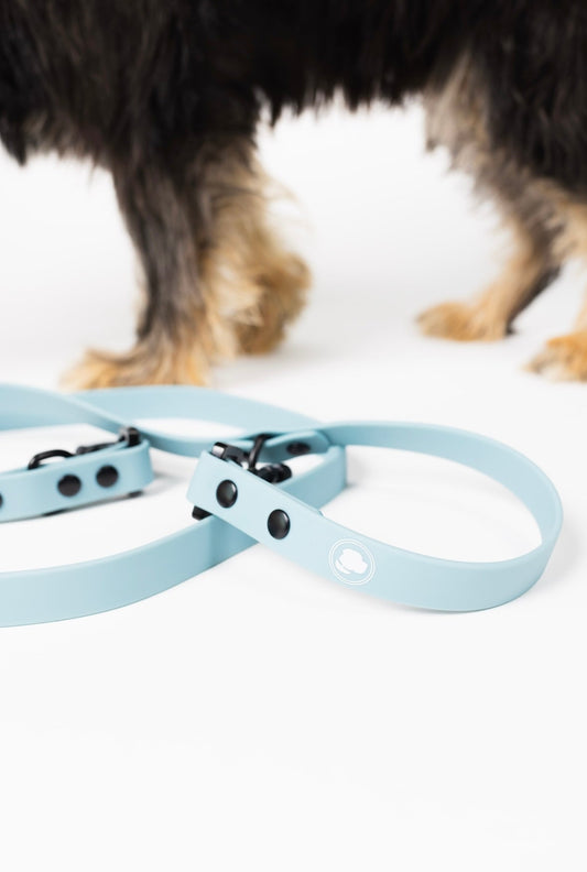 Dusty Blue All-Weather Dog Leash
