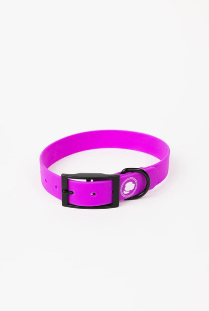 Electric Fuchsia All-Weather Dog Collar