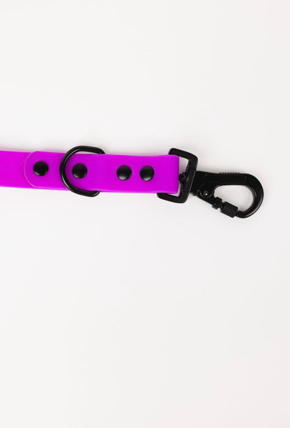 Electric Fuchsia All-Weather Dog Leash
