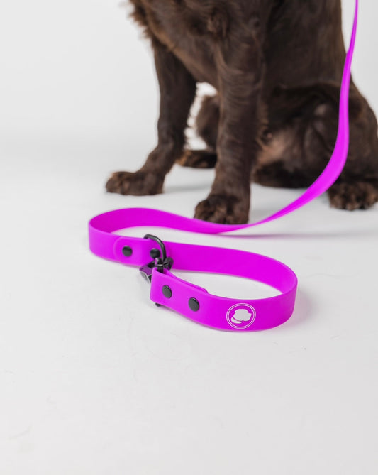 Electric Fuchsia All-Weather Dog Leash