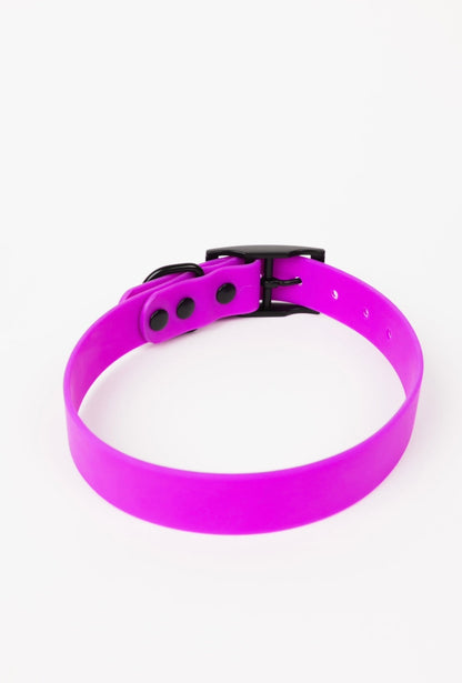 Electric Fuchsia All-Weather Dog Collar