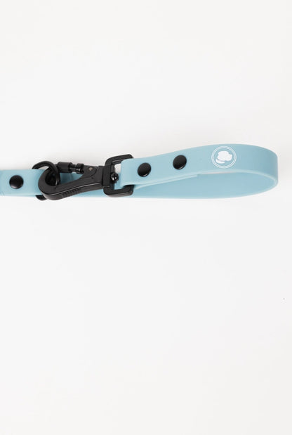 Dusty Blue All-Weather Dog Leash