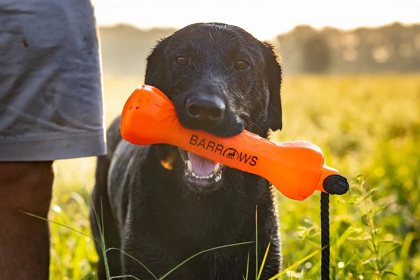 Barrows Training Bumper Pack Orange