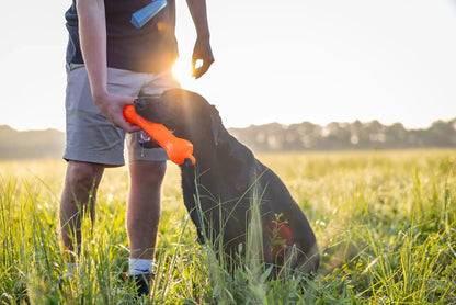 Barrows Training Bumper Pack Orange